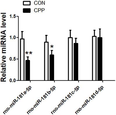 MicroRNA-181a Is Involved in Methamphetamine Addiction Through the ERAD Pathway